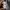 Hoodie puma spel out big logo photo 5