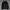 Zipper hoodie adidas treefoil original photo 8