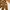Corduroy Pants G€ORGES RECH Slim fit - Size 32 photo 1