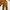Corduroy Pants G€ORGES RECH Slim Fit - Size 32