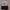 Topi Bloods - Bloods Series Hat Topi Conscript Black White photo 2