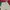 Alpina Cargo Pants Big Pocket photo 2