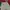 Alpina Cargo Pants Big Pocket photo 2