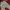 Alpina Cargo Pants Big Pocket photo 1