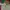 Alpina Cargo Pants Big Pocket photo 6