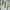 Metrocity Vintage Pria Green