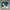 Disney Vintage Pria blue photo 5