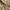 Polo Club tailored trousers light tan relaxed fit pants cela photo 5