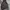 Hoodie United Athle Custom Leaf Like Realtree photo 4