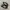 Adidas Supestar Black White photo 1