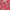 Vintage Pria red photo 3