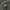 Dickies Vintage Jeans Pria black photo 5