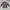 Vintage Streetwear Track jacket Pria green photo 5