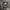 Windbreaker adidas 3stripe photo 3