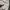 Windbreaker Vneck adidas photo 7