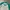Lacoste Long Sleeve photo 3