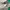Lacoste Long Sleeve photo 4