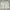 Tommy Hilfiger Moss Green Short Cargo Pants Big Size photo 2