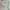 Tommy Hilfiger Moss Green Short Cargo Pants Big Size photo 3
