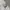 Le Coq Sportif Polo Long Sleeve photo 4