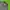 TRACKTOP KAPPA  photo 2