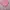 CROPTOP PINK WANITA photo 2