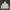 Jaket Fashion Unbrand Crop  photo 5