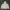 Jaket Fashion Unbrand Crop  photo 1