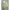 Jaket Bomber Sherpa Military Reversibel photo 2