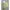Jaket Bomber Sherpa Military Reversibel