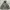 JAKET MILITARY C SV1O93 104C THINSULATE photo 1