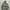 JAKET MILITARY C SV1O93 104C THINSULATE photo 4
