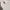Unknown Crop Hoodie photo 1