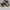 Nike airmax 270 react photo 1