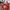 Shoulder Bag Jim Thompson photo 1