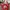 Shoulder Bag Jim Thompson