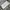 Levi's Vintage Streetwear Jeans Pria gray photo 8