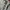 Levi's Vintage Streetwear Jeans Pria gray photo 6