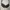 Bra Triumph Hitam Size 36D/ 38C photo 1