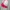 Lorna Jane Sport Bra size S photo 2