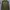 Pull&Bear Olive Green photo 1