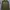 Pull&Bear Olive Green