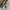 Gucci sneakers authentic  photo 4