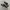 Vans Old Skool Velcro Black White Original photo 1