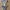 ROXY Tides of Way One Piece Swimsuit photo 5