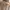 (Minor Defect) Beige Pants photo 6