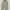 “PATHFINDER” Korean Pleated Grey baggy Sweatpants photo 3