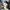 Nike air jordan Dear Series 06 Rare 42 photo 1
