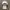 Adidas Tee shirt photo 1