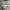 Grooverhyme Sportswear Casual Casual shirt Pria gray photo 4